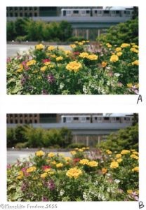 img20200919_08130118